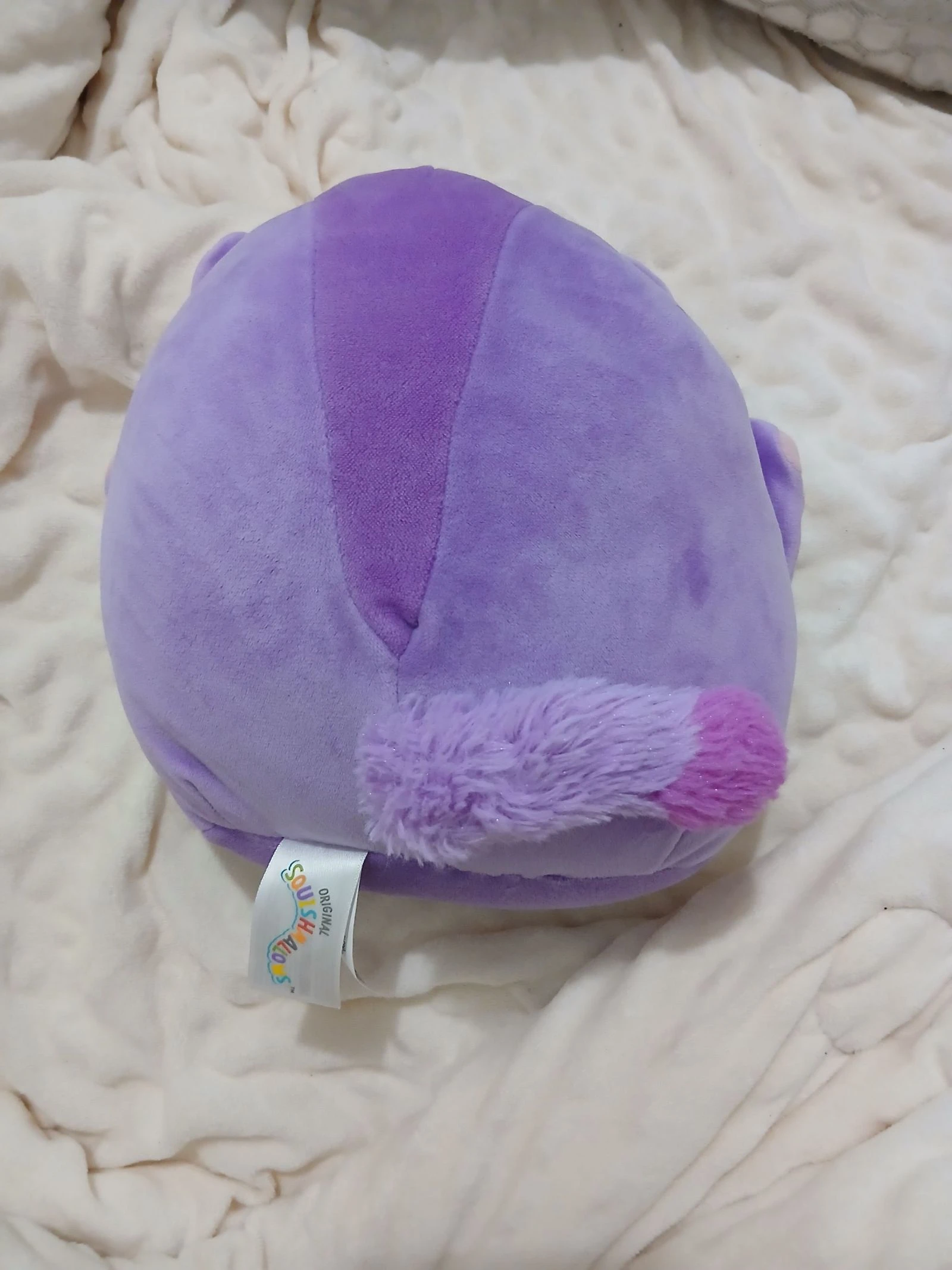 Squishmallow pluche vliegende eekhoorn – photo 3